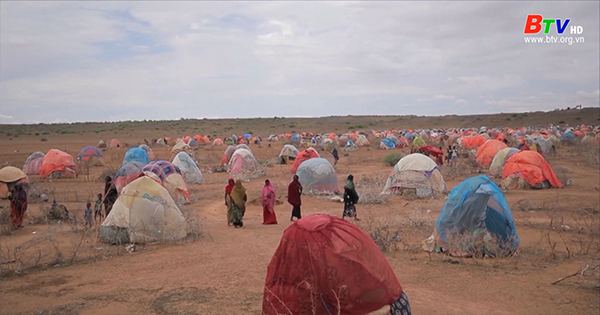 Liên hợp quốc lo ngại tình hình cứu trợ tại Ethiopia