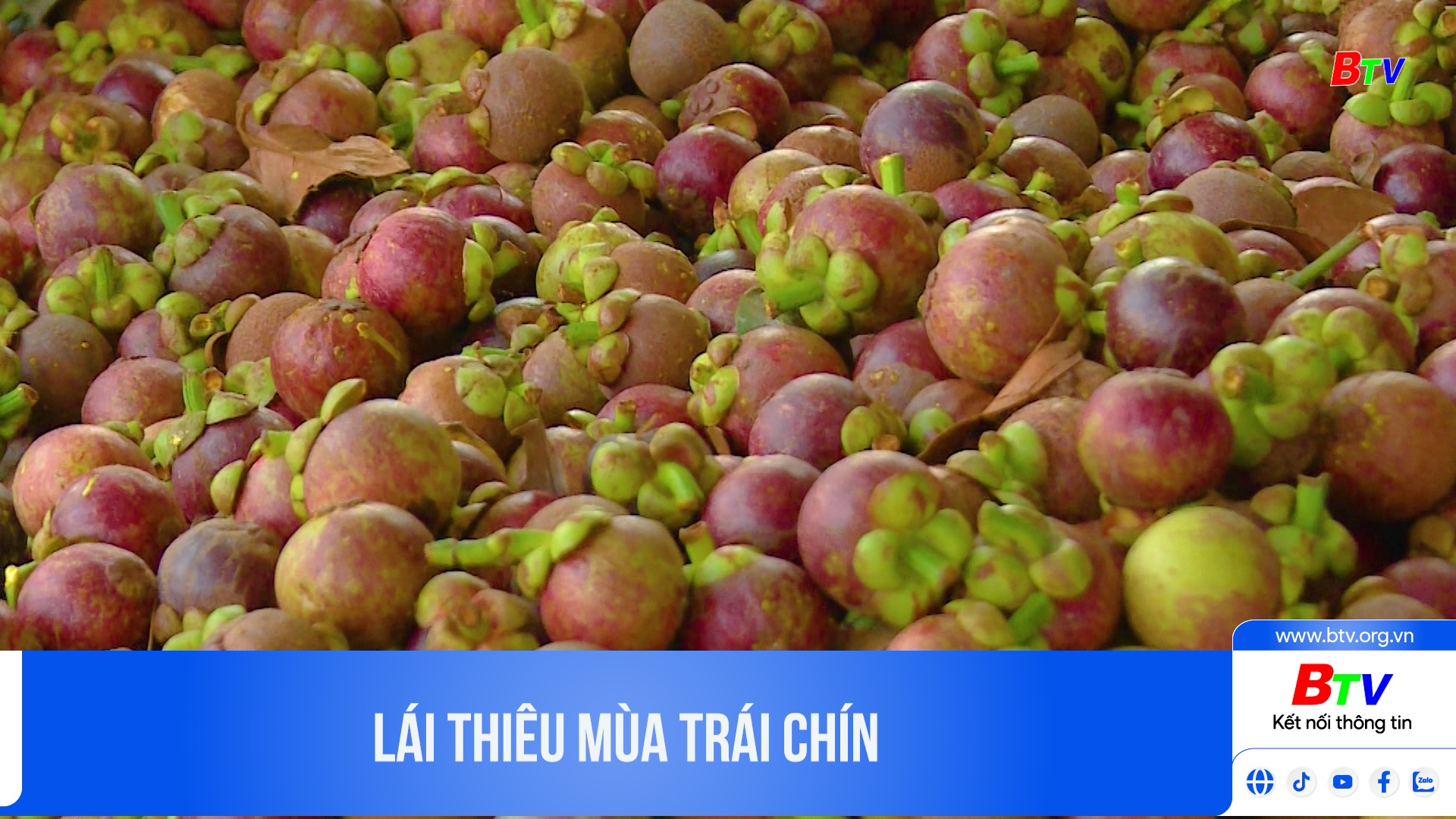 Lái Thiêu mùa trái chín	