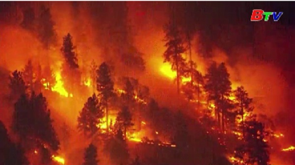 Mỹ - Sơ tán do cháy rừng ở Los Angeles