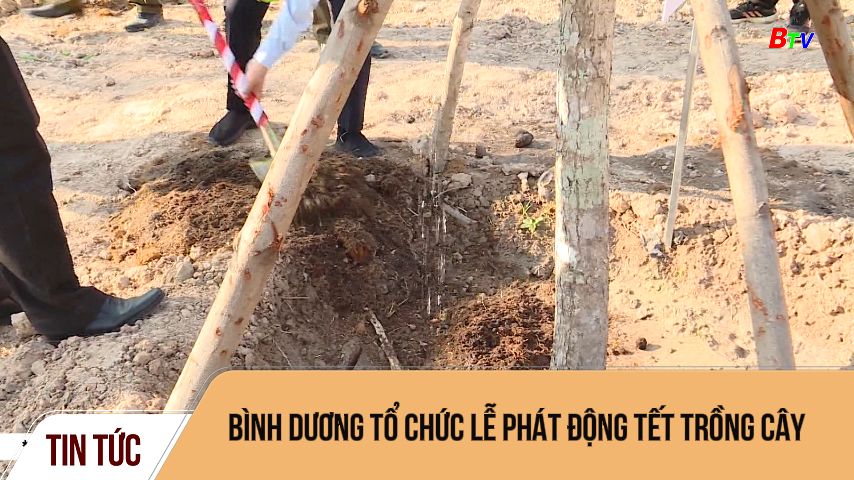 Bình Dương tổ chức lễ phát động tết trồng cây