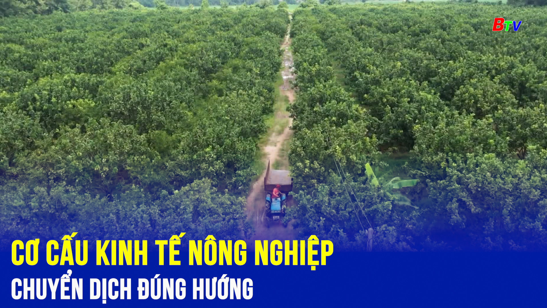 Cơ cấu kinh tế nông nghiệp chuyển dịch đúng hướng