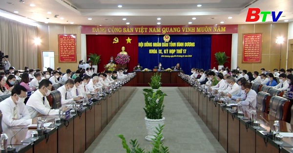 Hội đồng Nhân dân tỉnh khóa IX tổng kết nhiệm kỳ 2016 - 2021