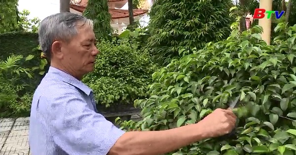 Phạm Văn Hải - Một cựu chiến binh làm kinh tế giỏi
