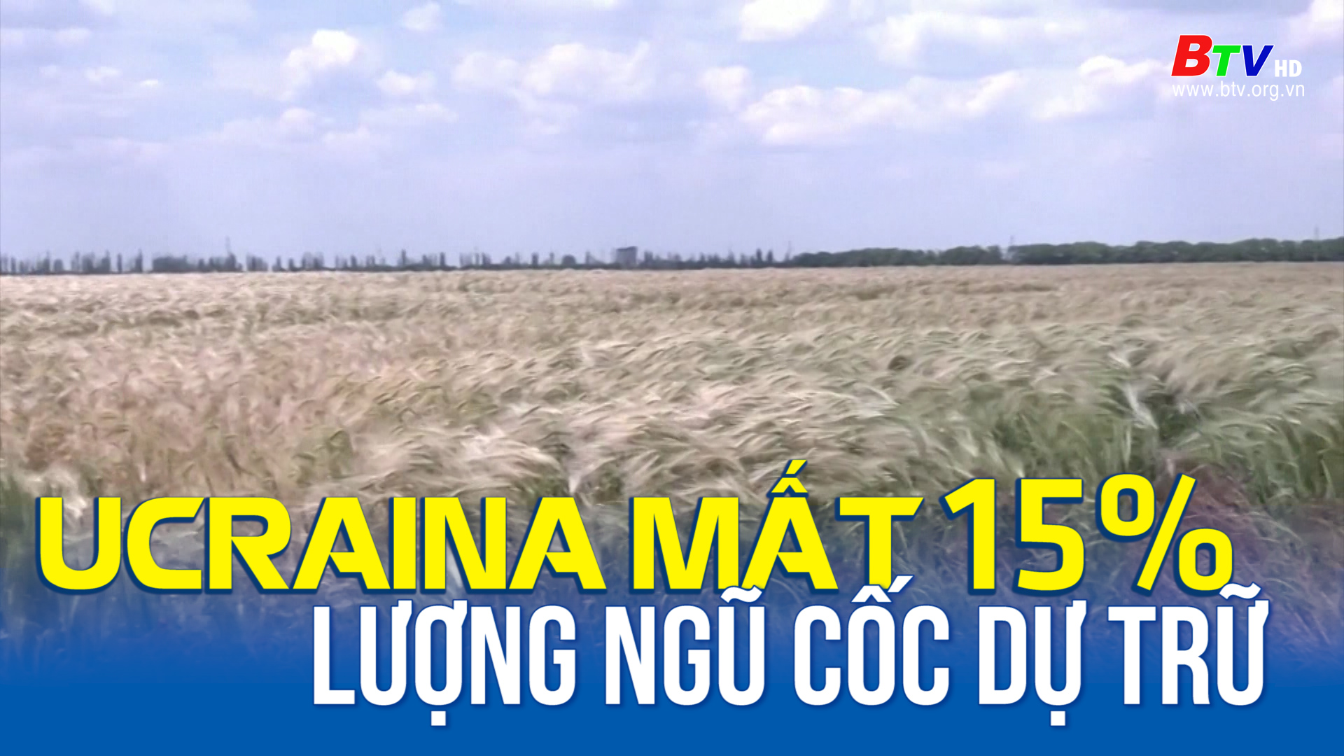 Ucraina mất gần 15% lượng ngũ cốc dự trữ do xung đột