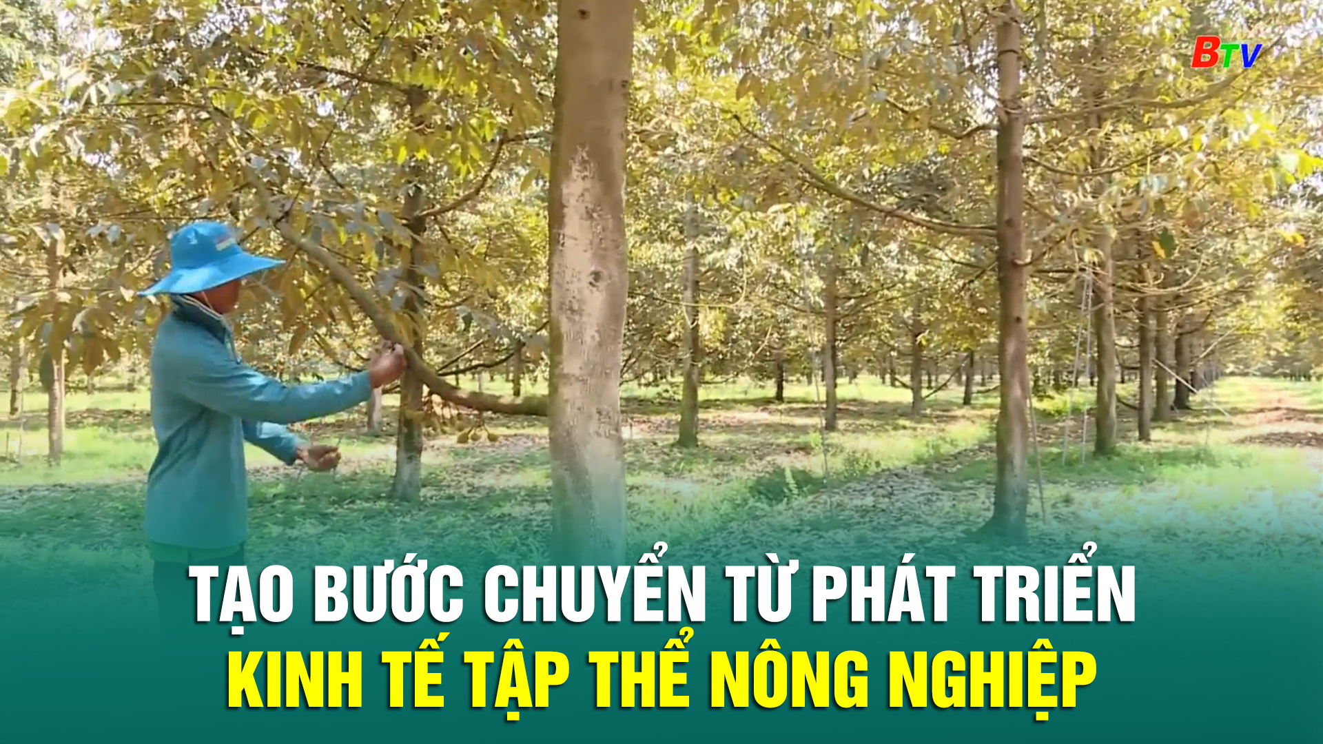 Tạo bước chuyển từ phát triển kinh tế tập thể nông nghiệp