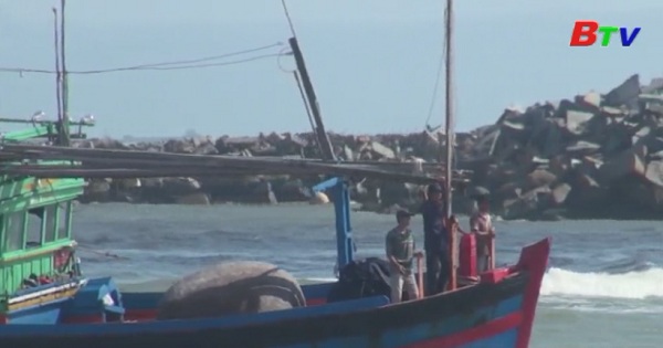 Việt Nam cầu thị và minh bạch trong kiểm tra khai thác cá bất hợp pháp, không được báo cáo và không được quản lý IUU