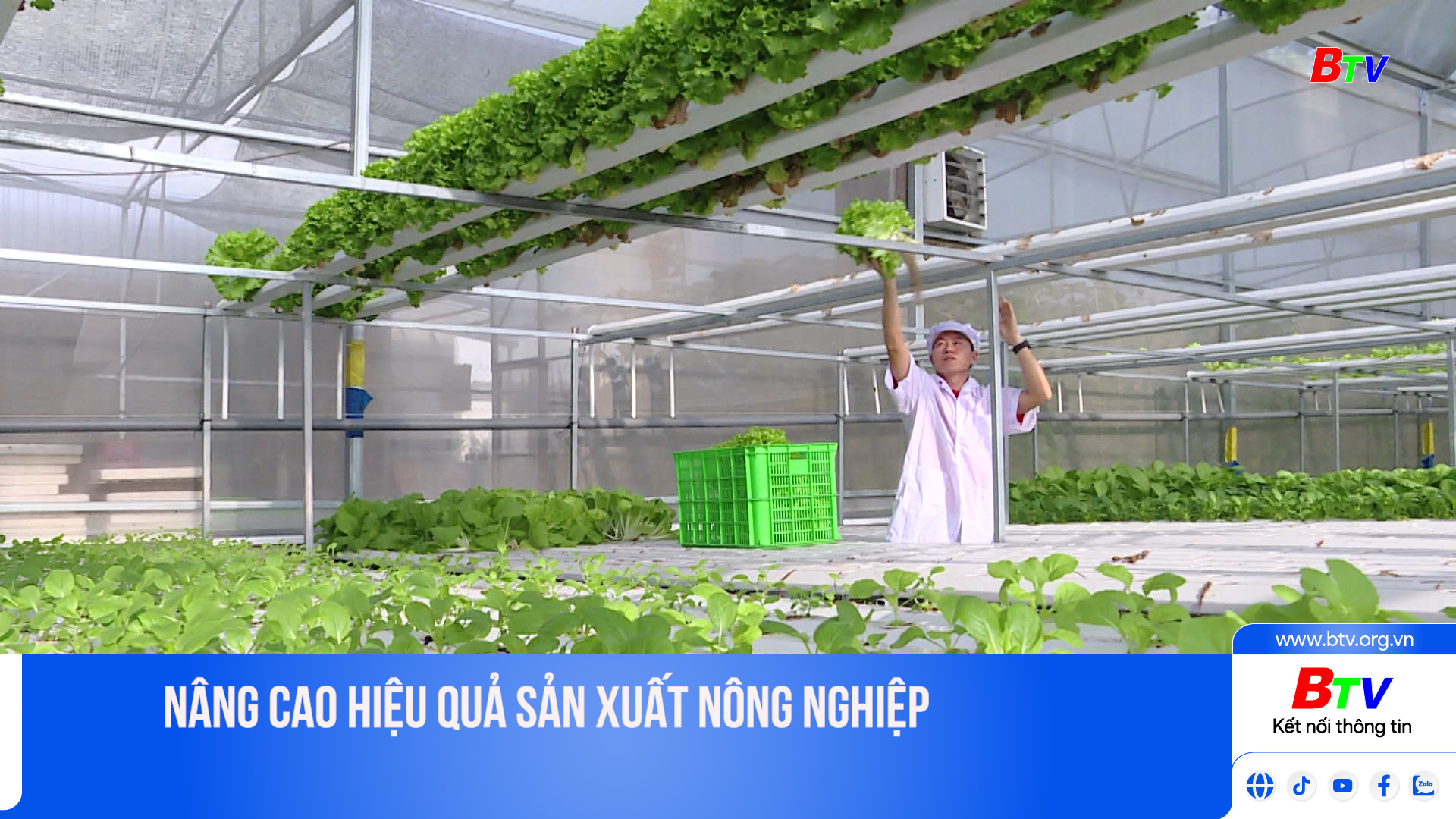 Nâng cao hiệu quả sản xuất nông nghiệp