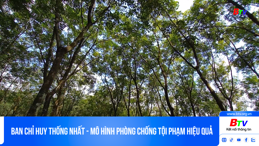 Ban Chỉ huy thống nhất - mô hình phòng chống tội phạm hiệu quả