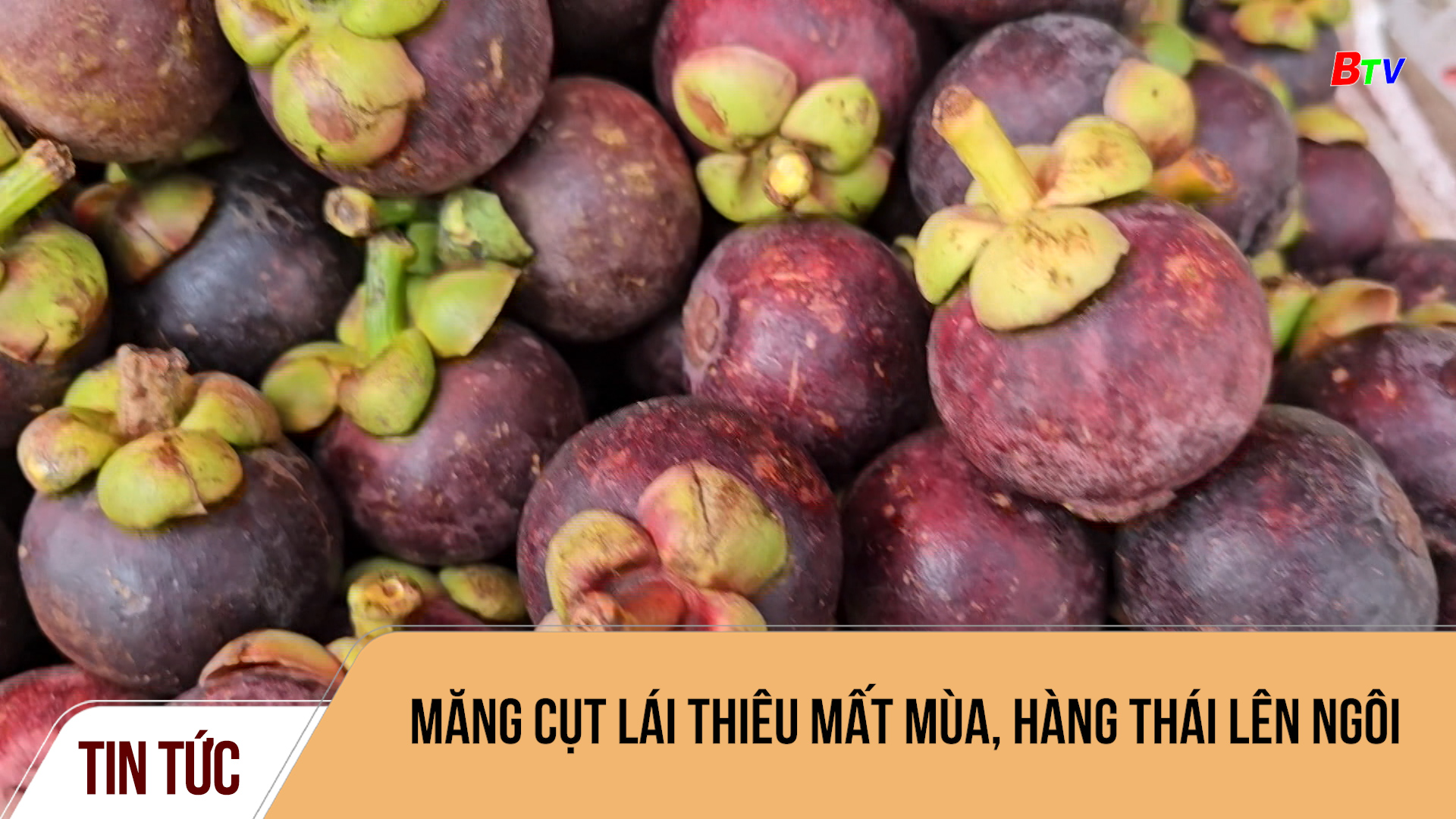 Măng cụt Lái Thiêu mất mùa, hàng Thái lên ngôi	