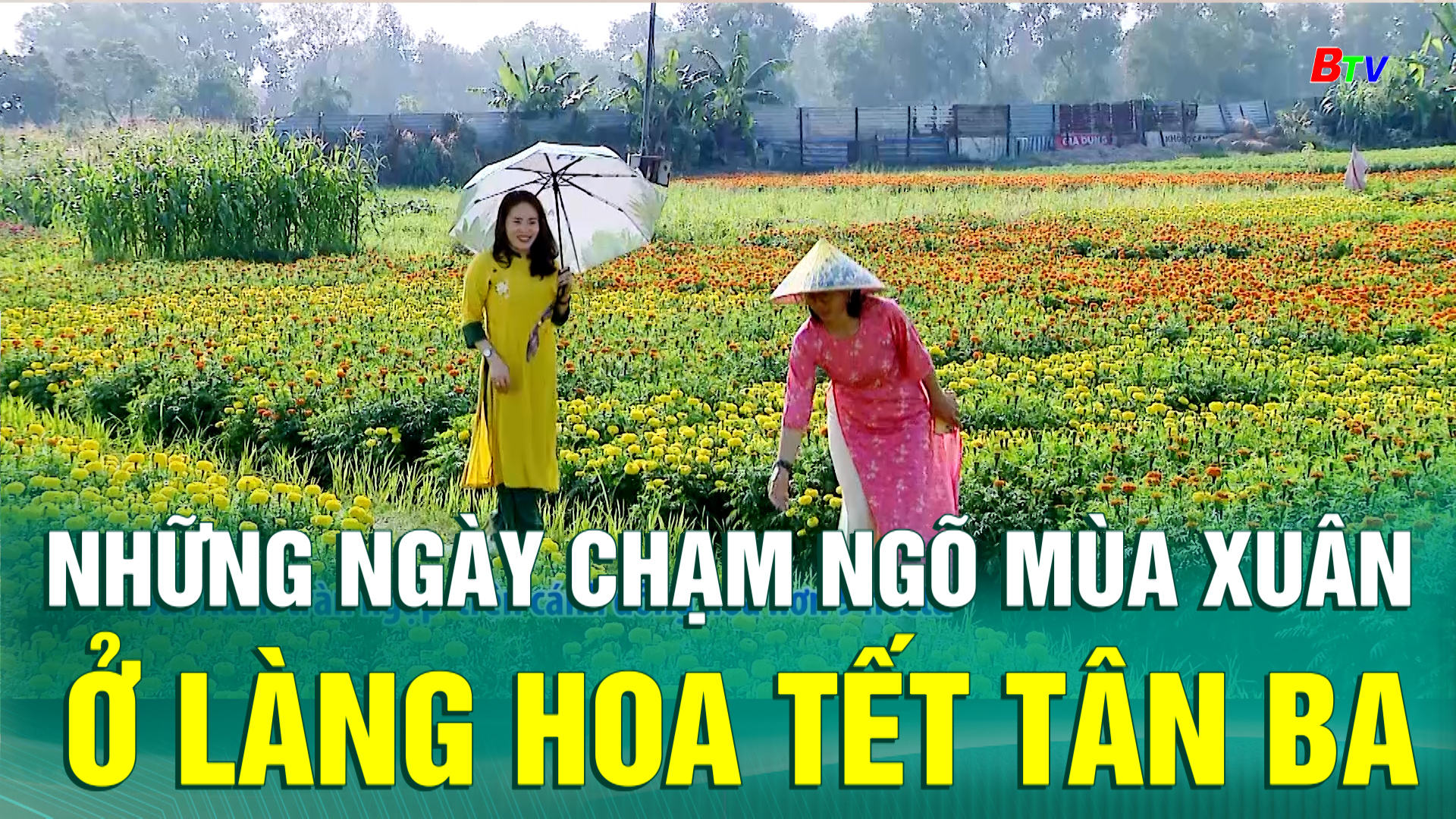 Những ngày chạm ngõ mùa xuân ở làng hoa Tết Tân Ba