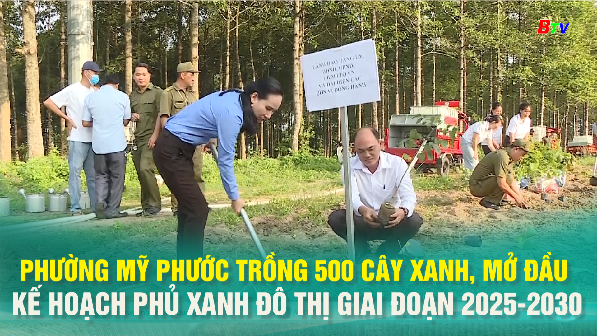 Phường Mỹ Phước trồng 500 cây xanh, mở đầu kế hoạch phủ xanh đô thị giai đoạn 2025–2030