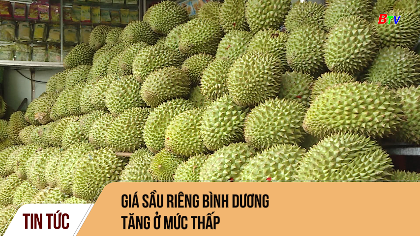 Giá sầu riêng Bình Dương tăng ở mức thấp