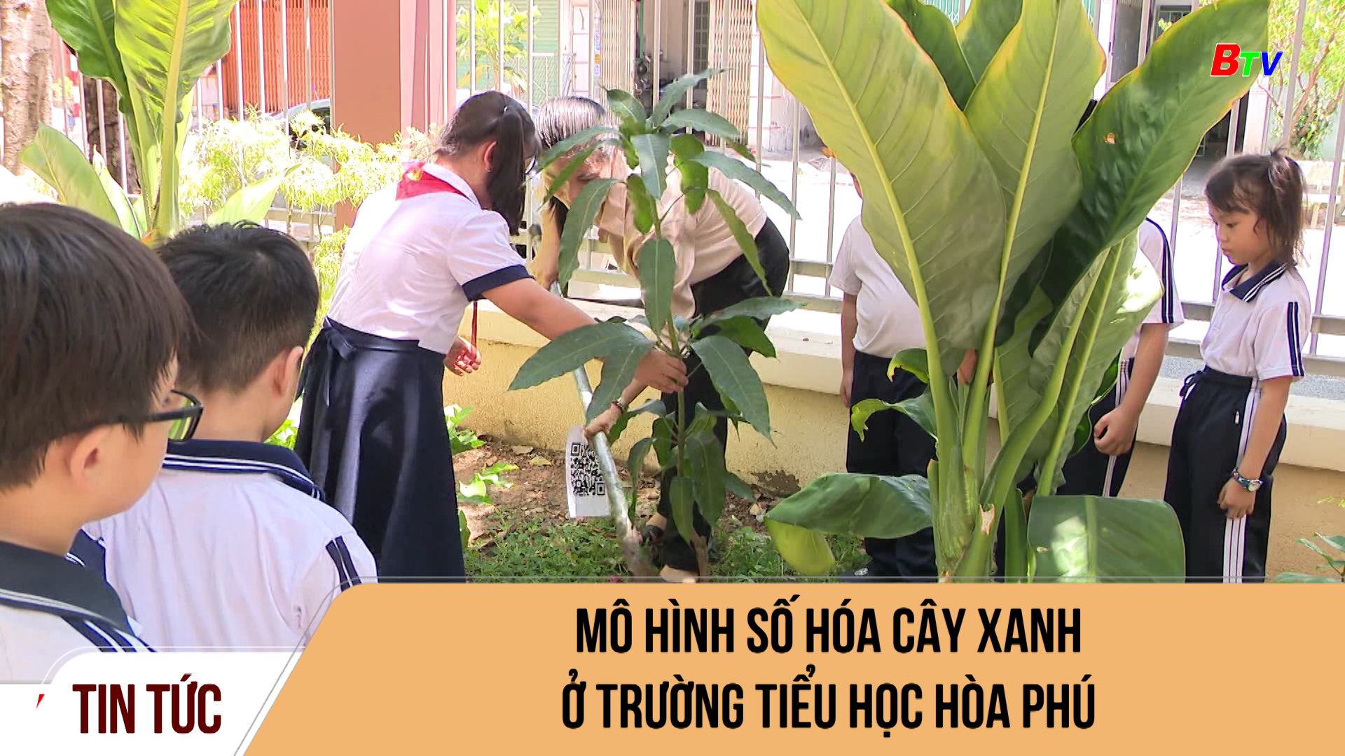 Mô hình số hóa cây xanh ở trường Tiểu học Hòa Phú