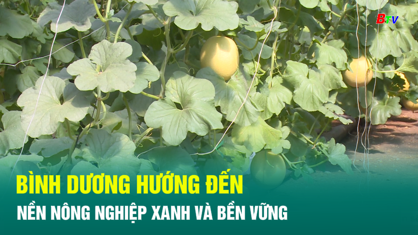 Bình Dương hướng đến nền nông nghiệp xanh và bền vững