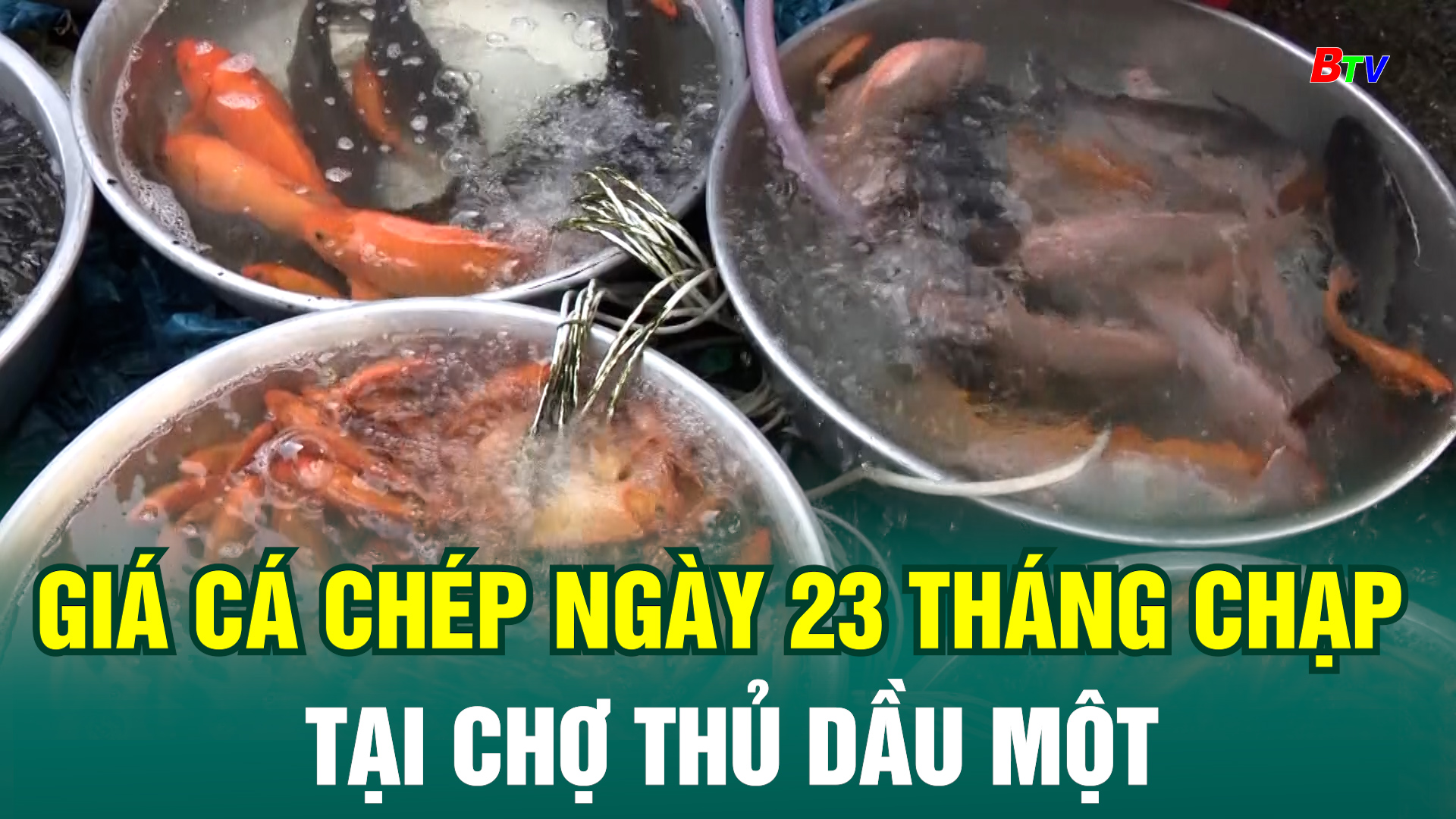 Giá cá chép ngày 23 tháng Chạp tại chợ Thủ Dầu Một