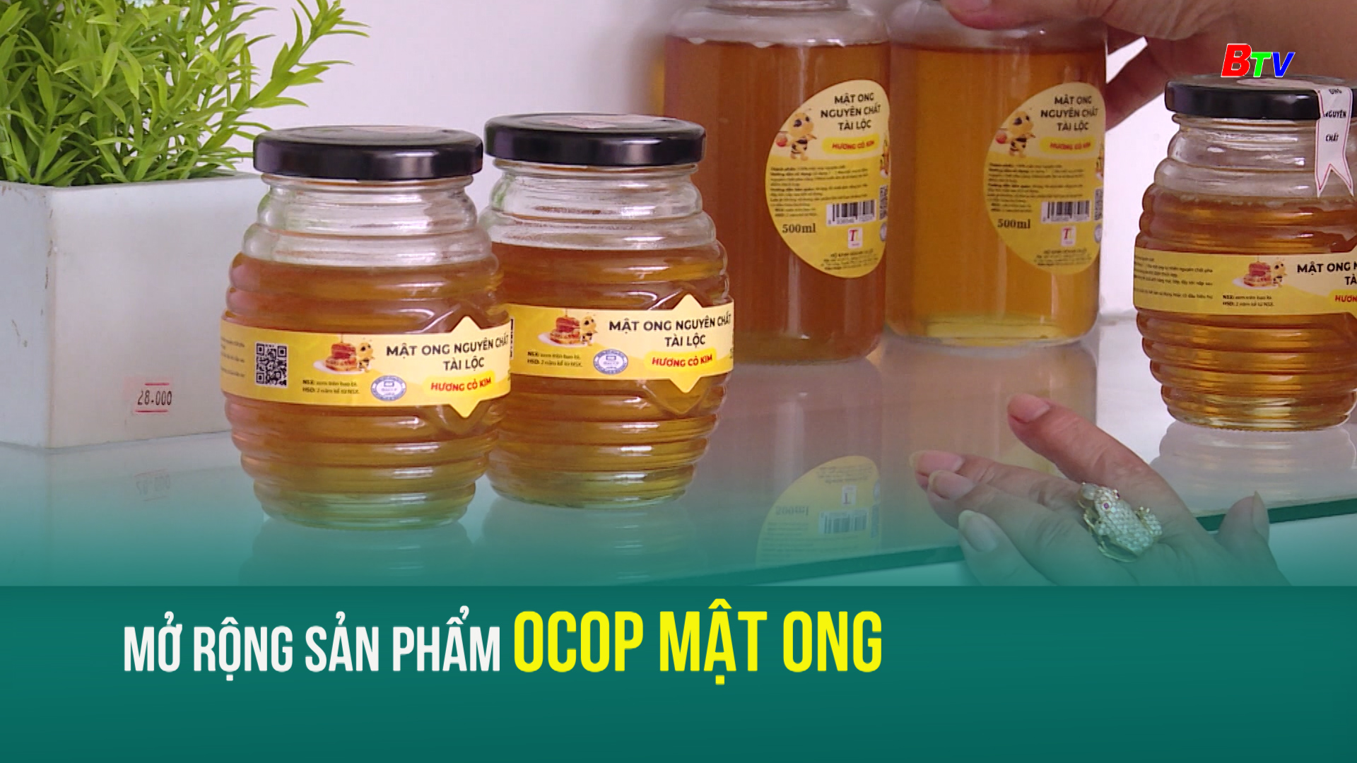 Mở rộng sản phẩm OCOP mật ong