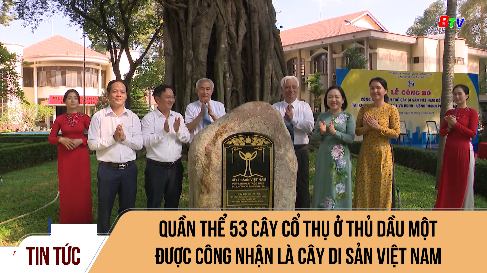Quần thể 53 cây cổ thụ ở Thủ Dầu Một được công nhận là cây di sản Việt Nam	