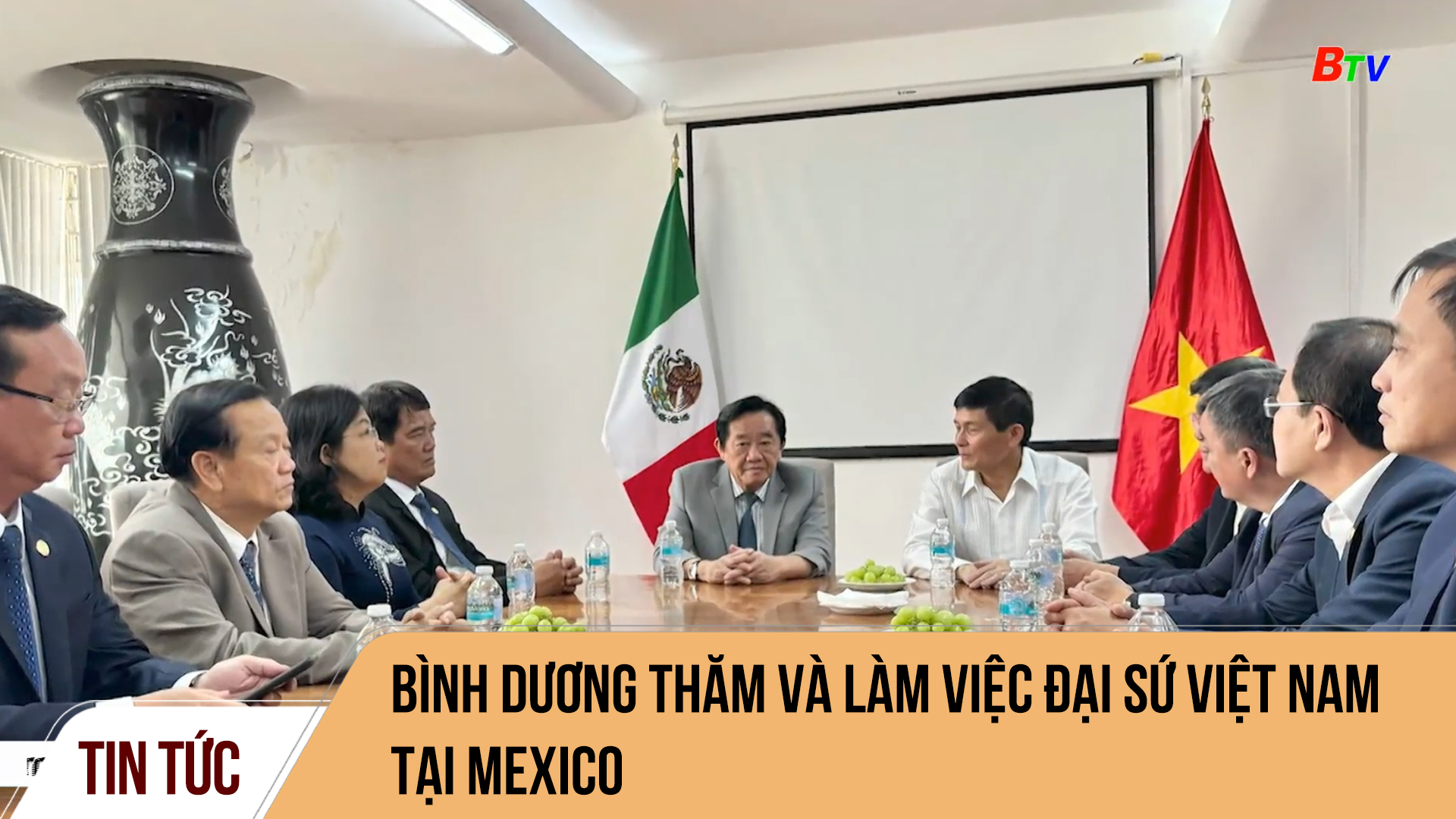 Bình Dương thăm và làm việc Đại sứ Việt Nam tại Mexico