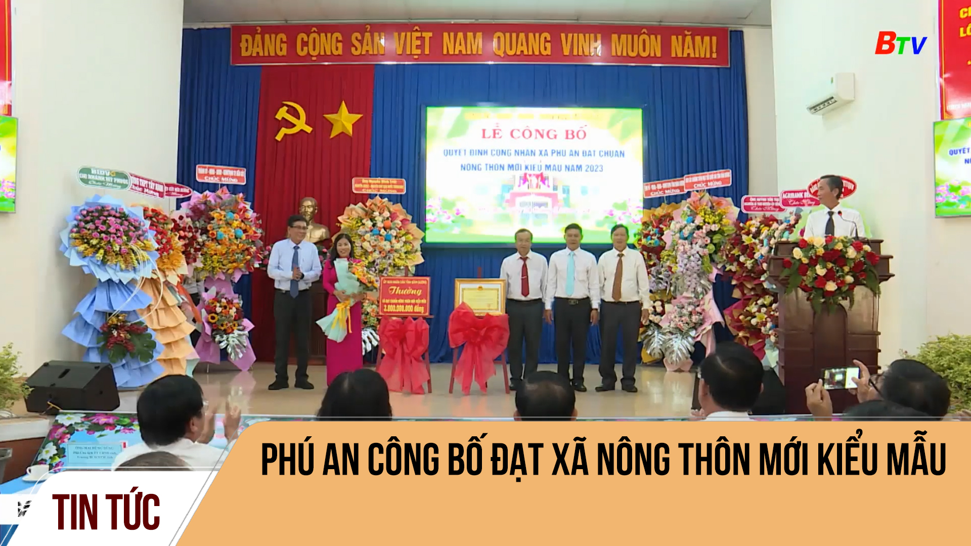 Phú An công bố đạt xã nông thôn mới kiểu mẫu