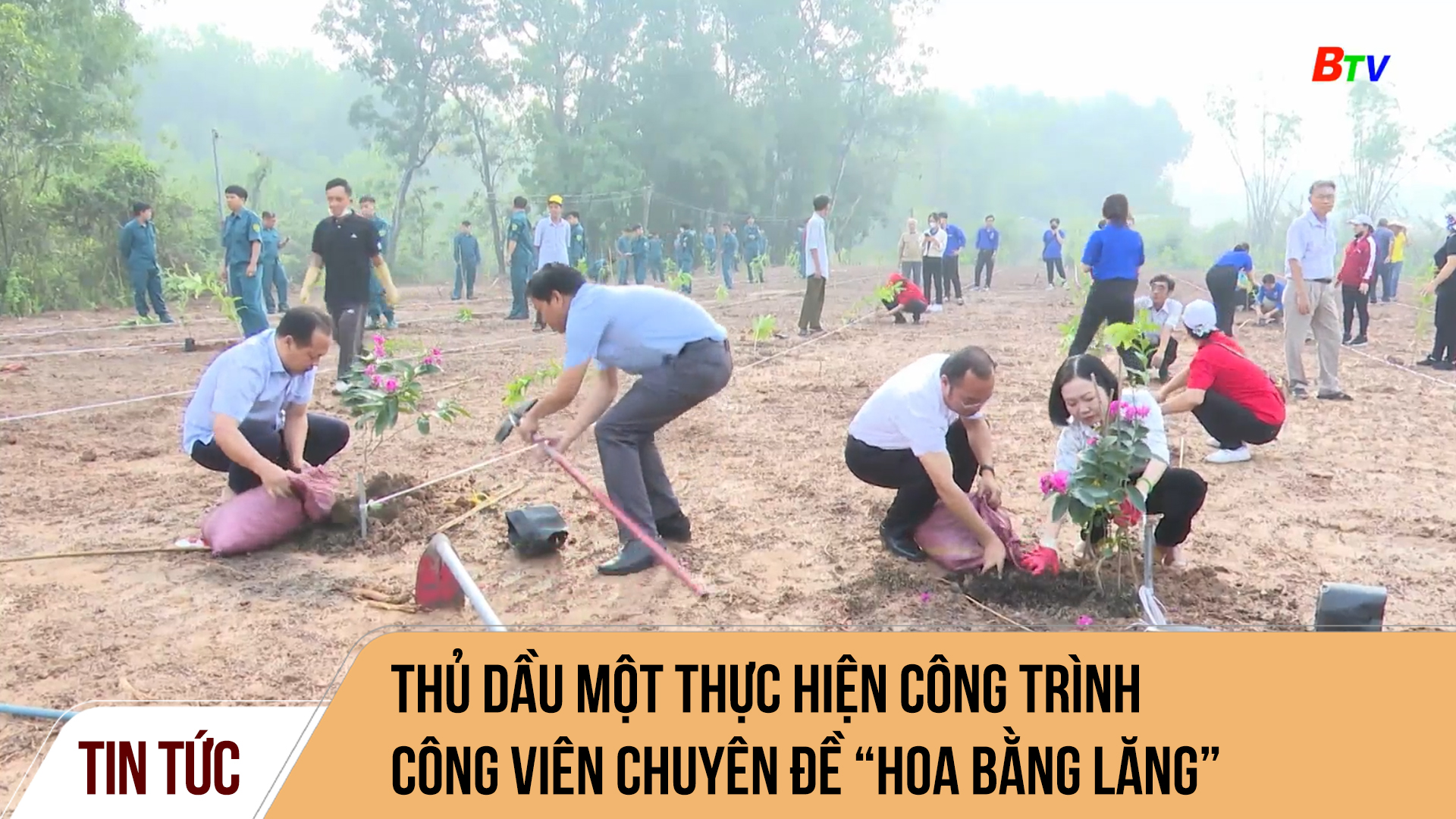 Thủ Dầu Một thực hiện công trình Công viên chuyên đề “Hoa bằng lăng”