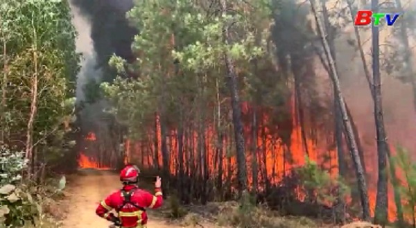 Nguyên nhân dẫn tới cháy rừng khó kiểm soát ở Bồ Đào Nha