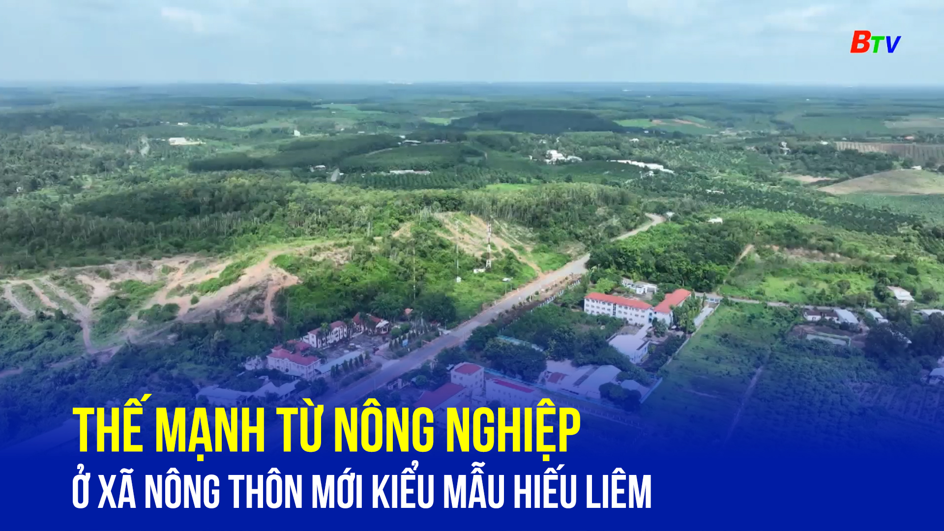 Thế mạnh từ nông nghiệp ở xã nông thôn mới kiểu mẫu Hiếu Liêm