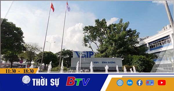 Khu công nghiệp Việt Nam - Singapore (VSIP) - Biểu tượng về hợp tác thành công