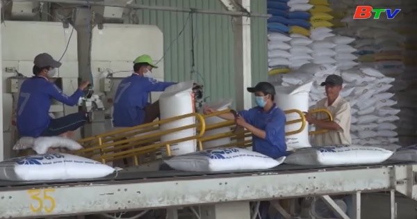 Đảm bảo đủ tiêu dùng trong nước và xuất khẩu trên 6.5 triệu tấn gạo