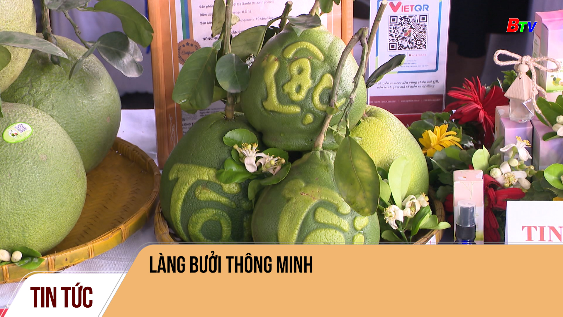 Làng bưởi thông minh