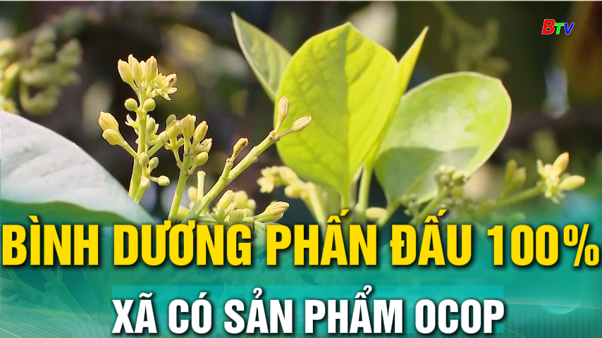 Bình Dương phấn đấu 100% xã có sản phẩm OCOP