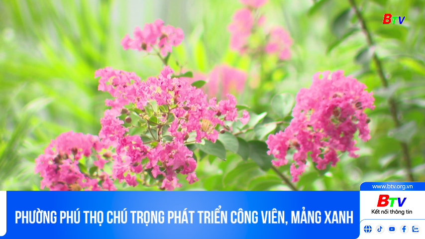 Phường Phú Thọ chú trọng phát triển công viên, mảng xanh