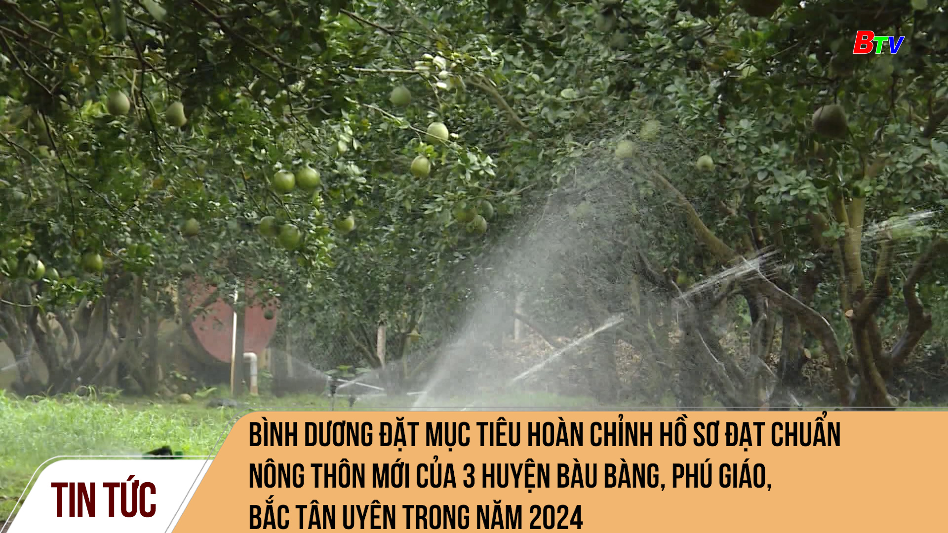 Bình Dương đặt mục tiêu hoàn chỉnh hồ sơ đạt chuẩn nông thôn mới của 3 huyện Bàu Bàng, Phú Giáo, Bắc Tân Uyên trong năm 2024