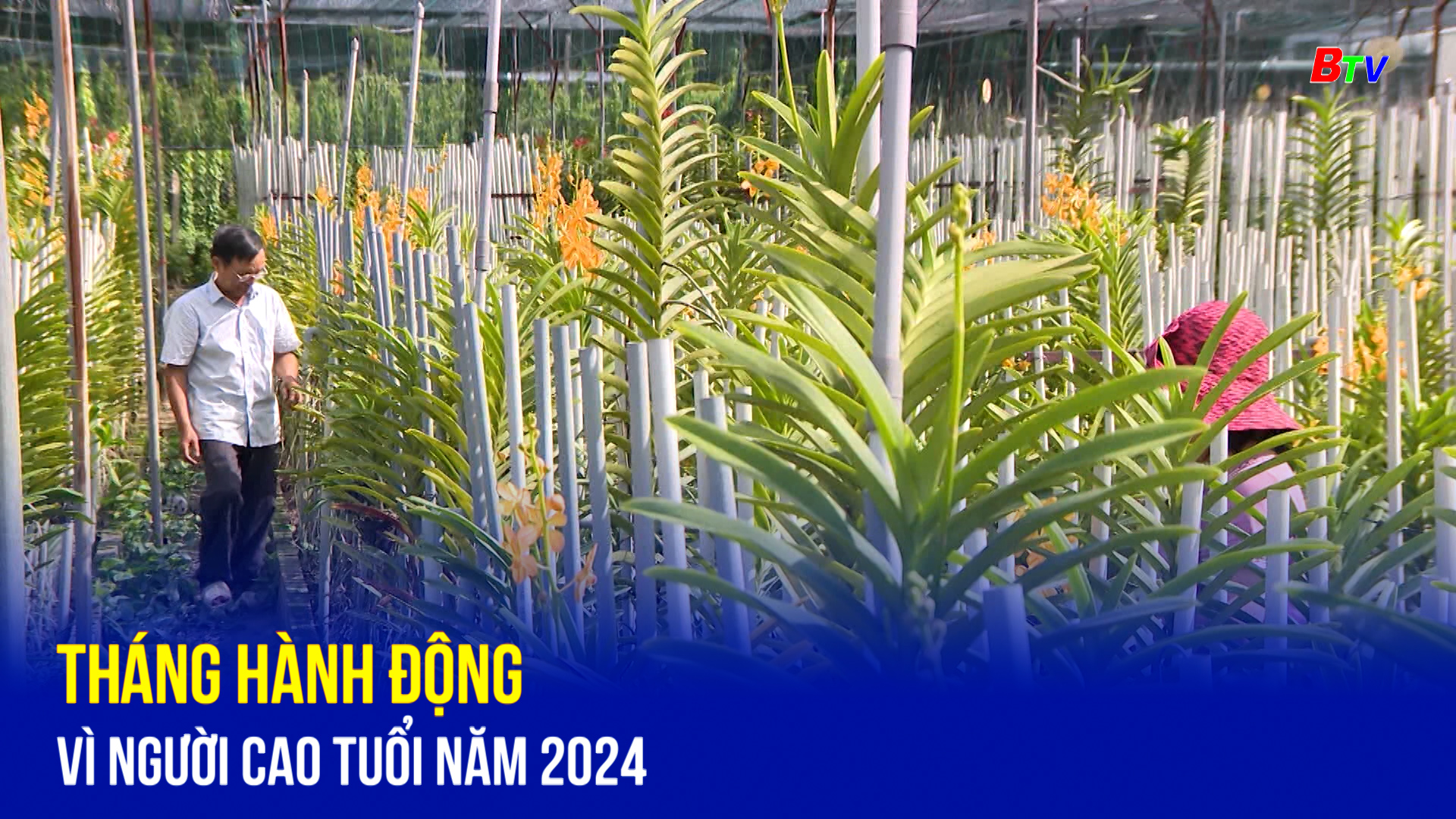 Tháng Hành động vì người cao tuổi năm 2024