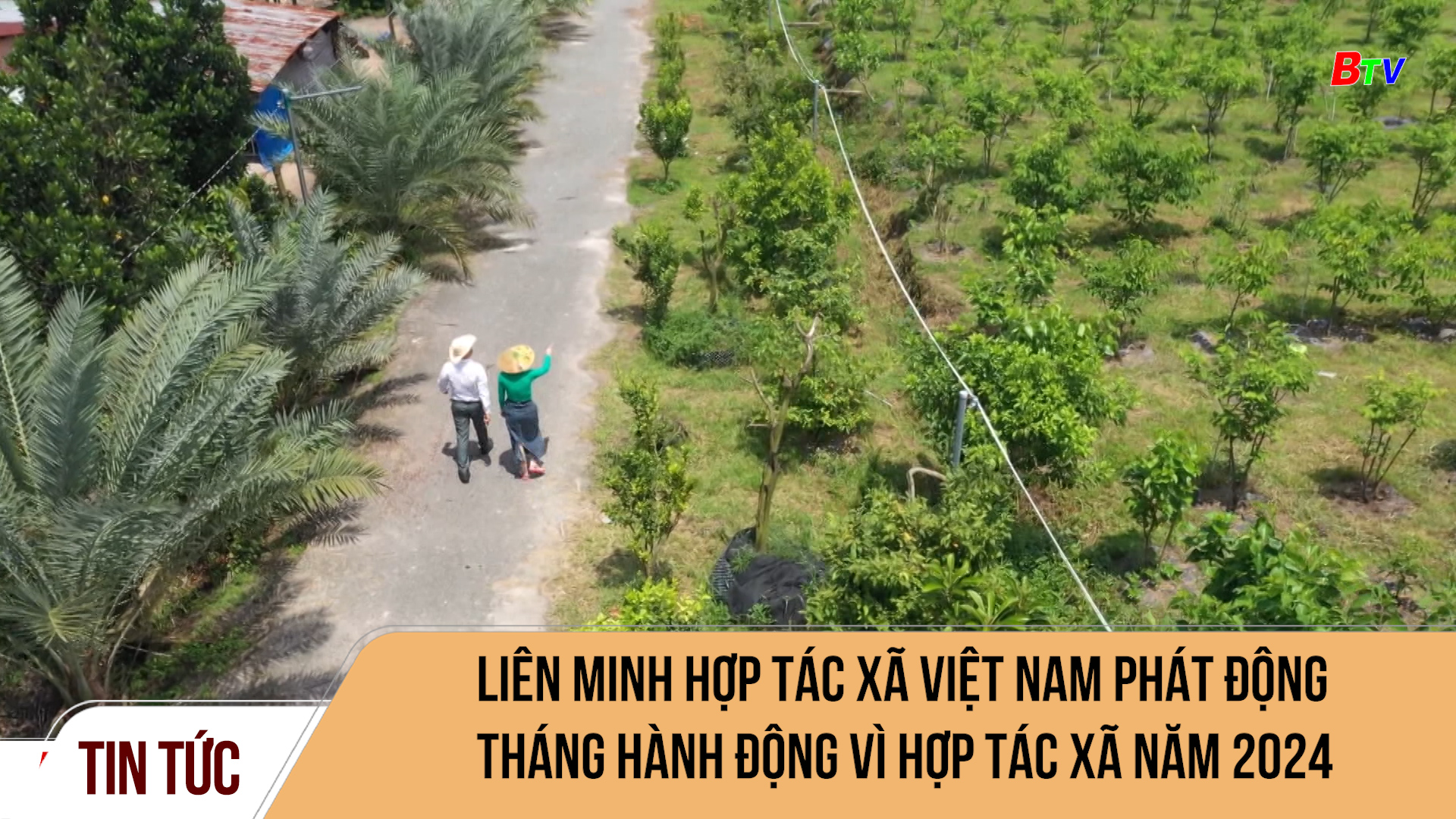 Liên minh Hợp tác xã Việt Nam phát động Tháng hành động vì Hợp tác xã năm 2024	