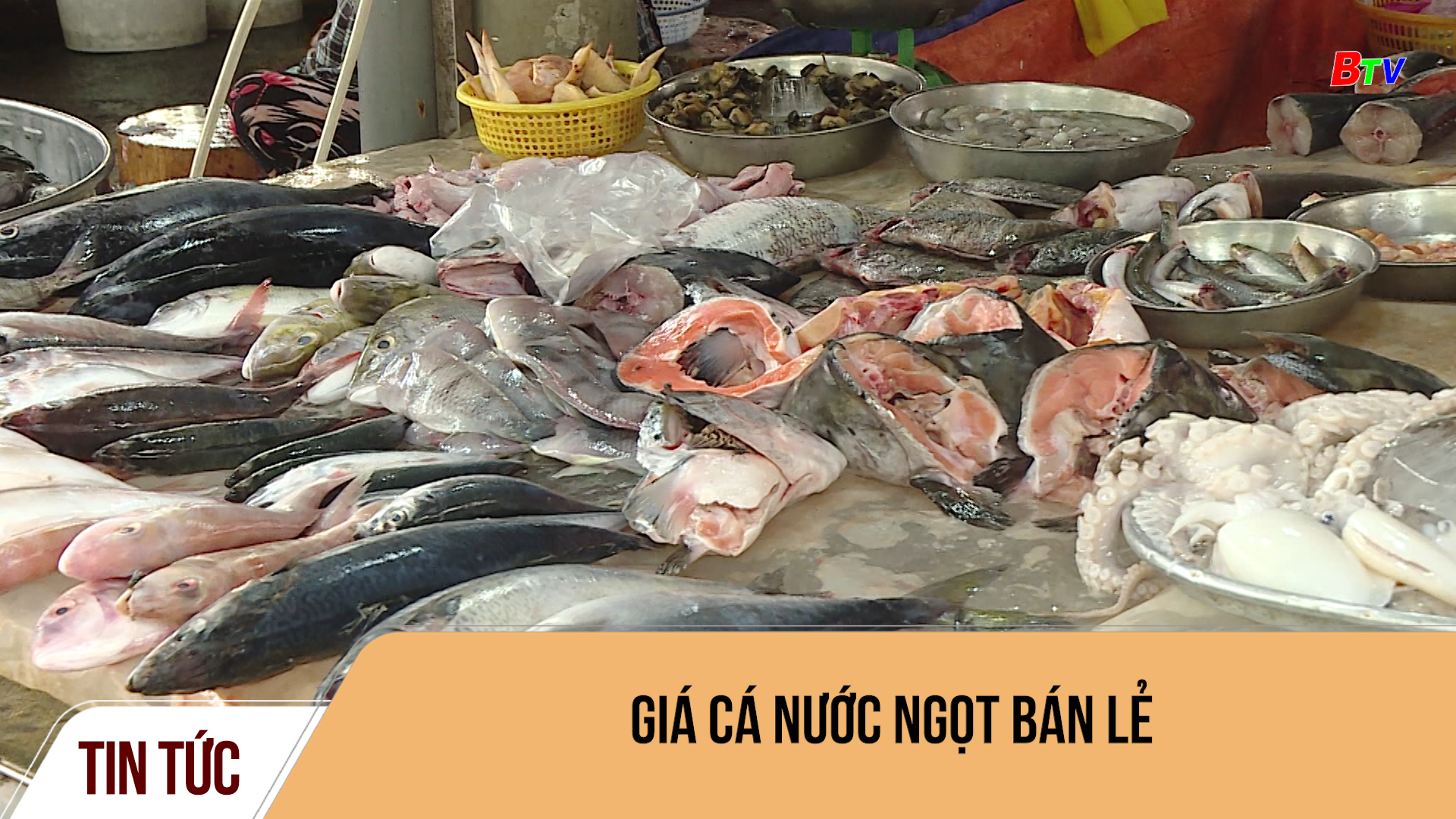 Giá cá nước ngọt bán lẻ	