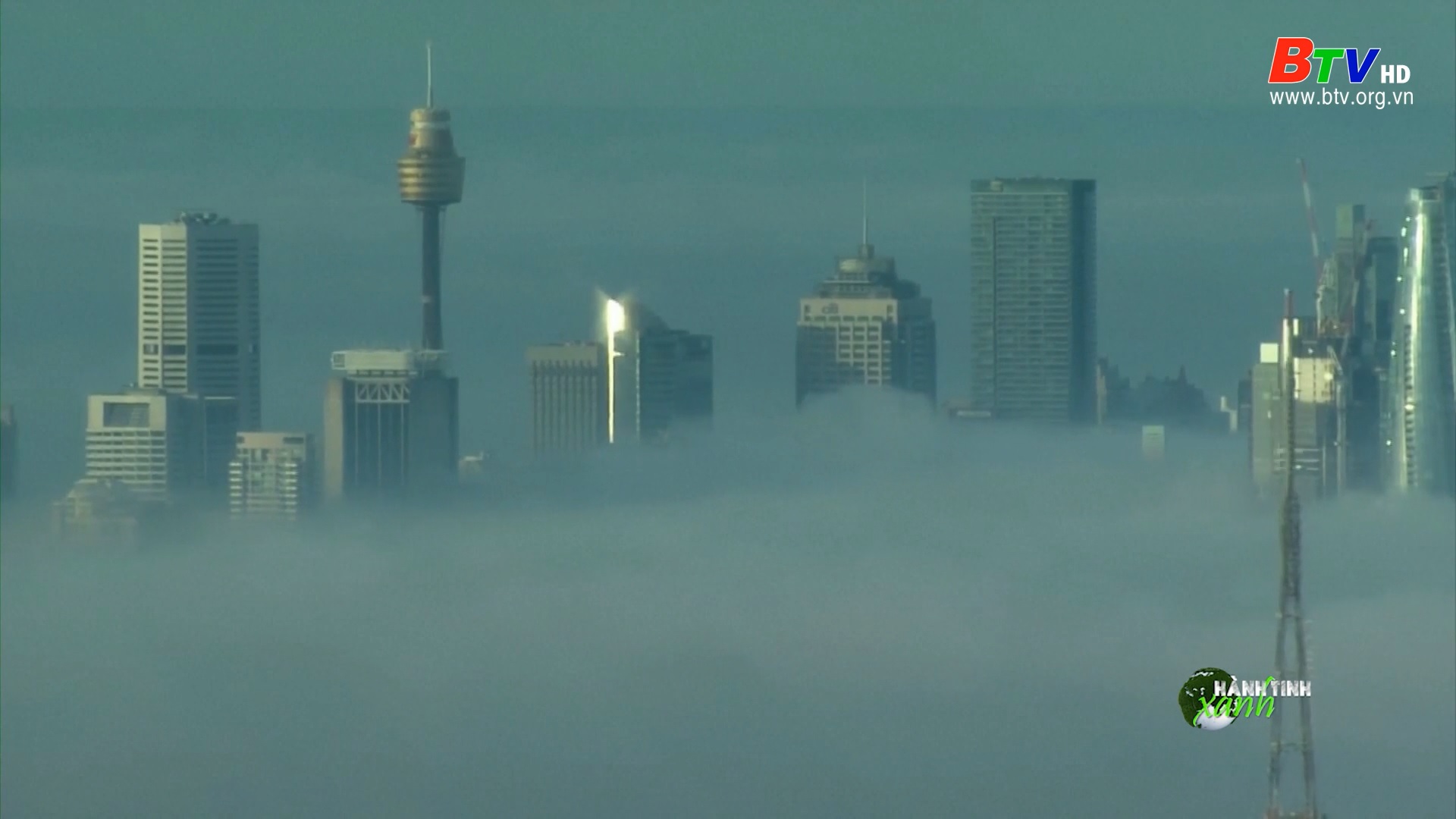 Thành phố Sydney bị bao phủ bởi sương mù