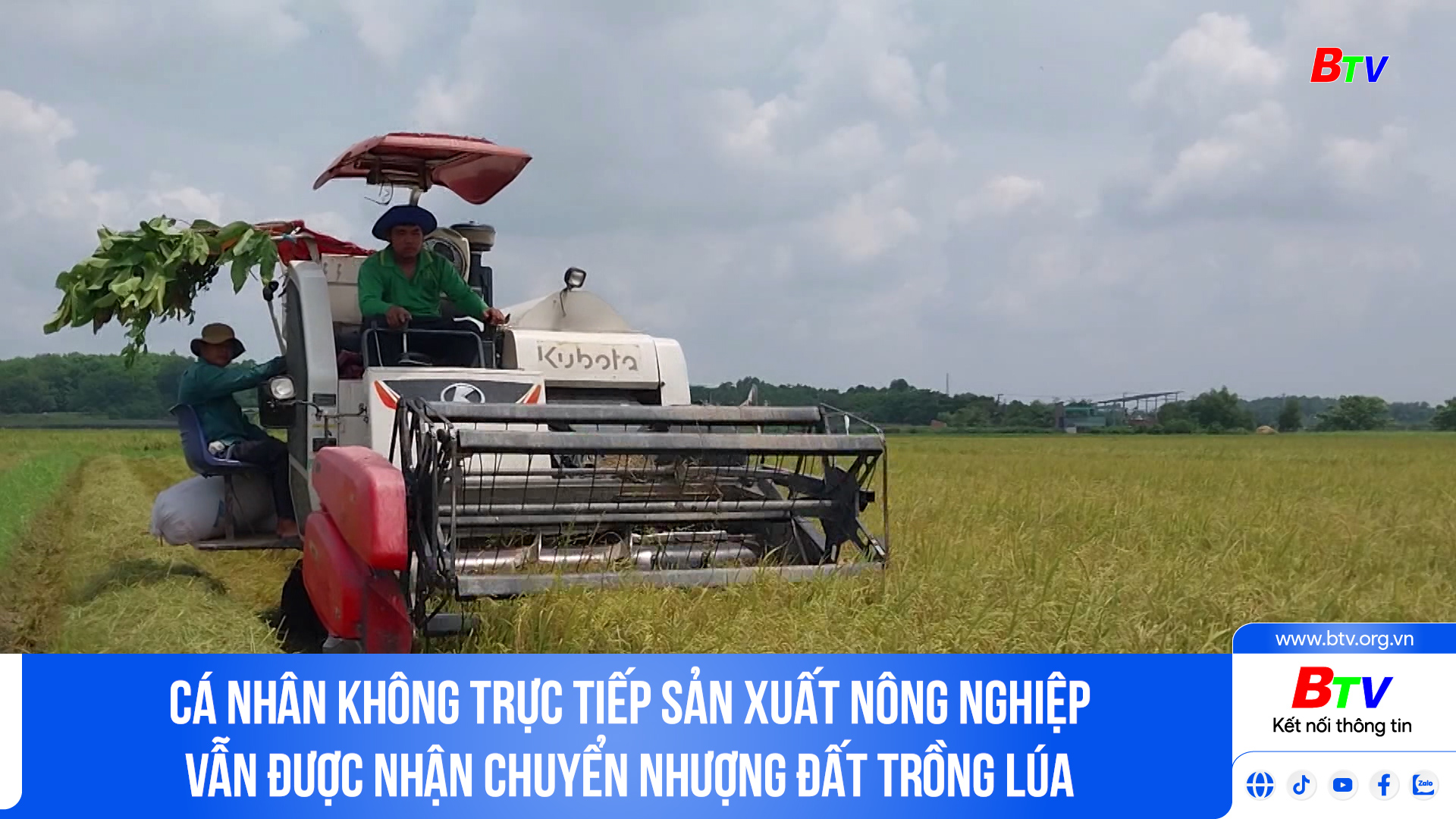 Cá nhân không trực tiếp sản xuất nông nghiệp vẫn được nhận chuyển nhượng đất trồng lúa