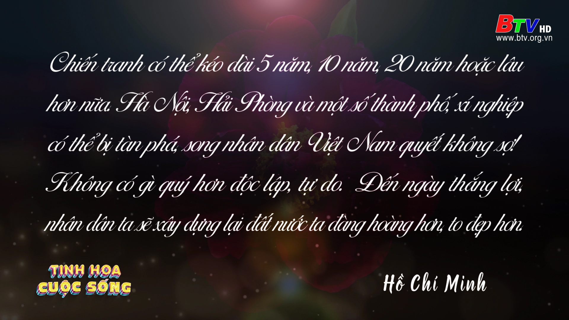 Tinh hoa cuộc sống - số 49