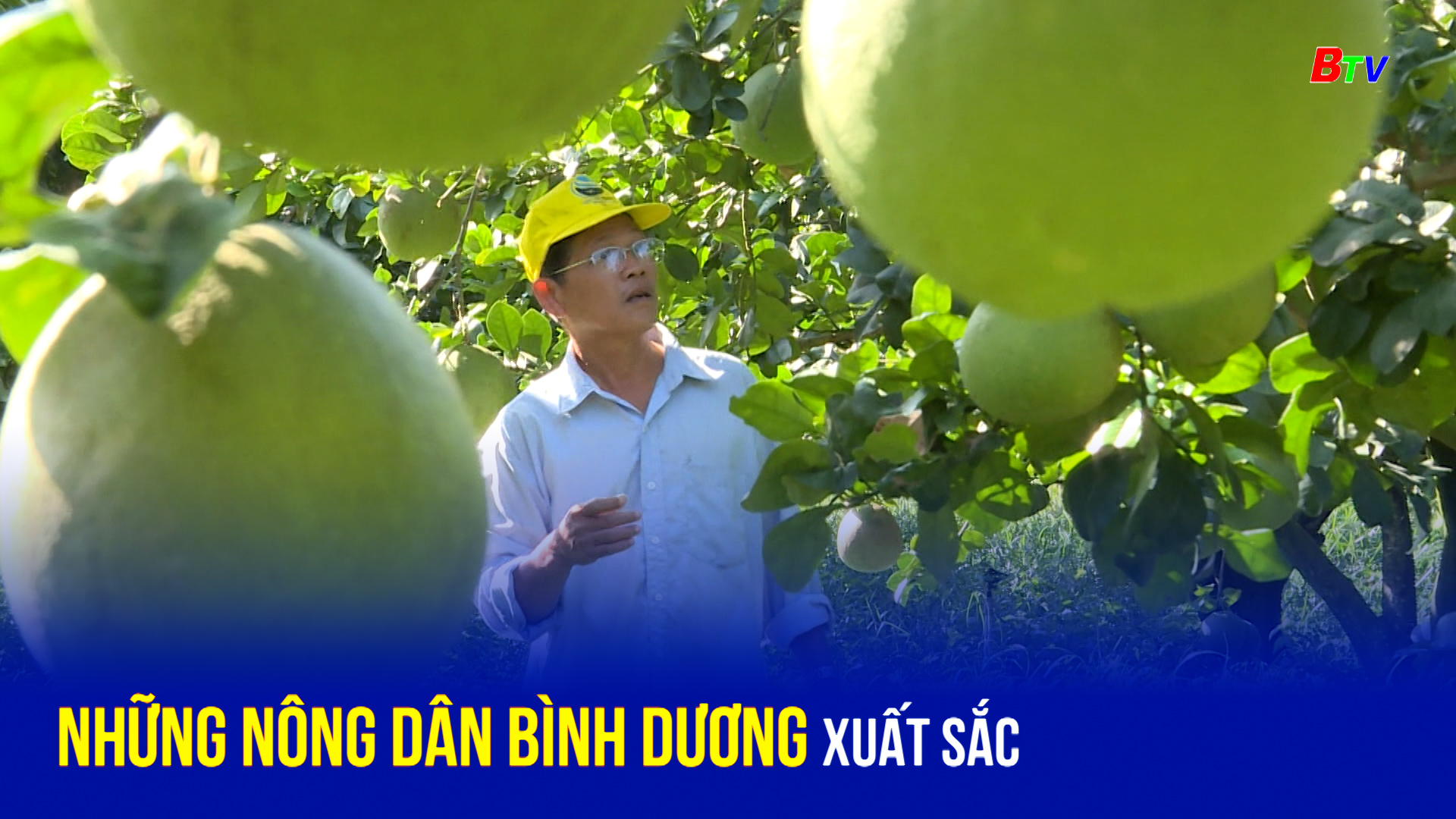 Những nông dân Bình Dương xuất sắc