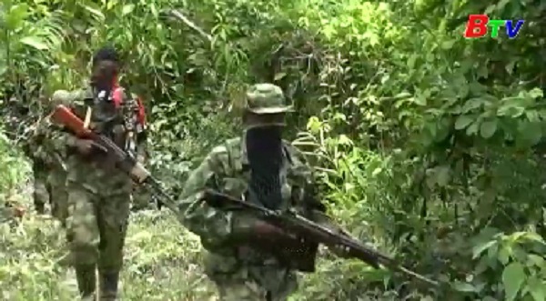 Chính phủ Colombia hoãn đàm phán với nhóm Quân đội giải phóng quốc gia