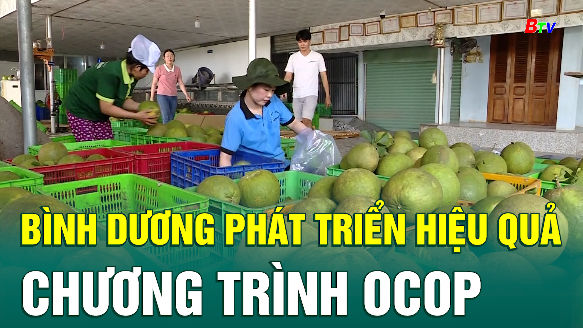 Bình Dương phát triển hiệu quả chương trình OCOP 