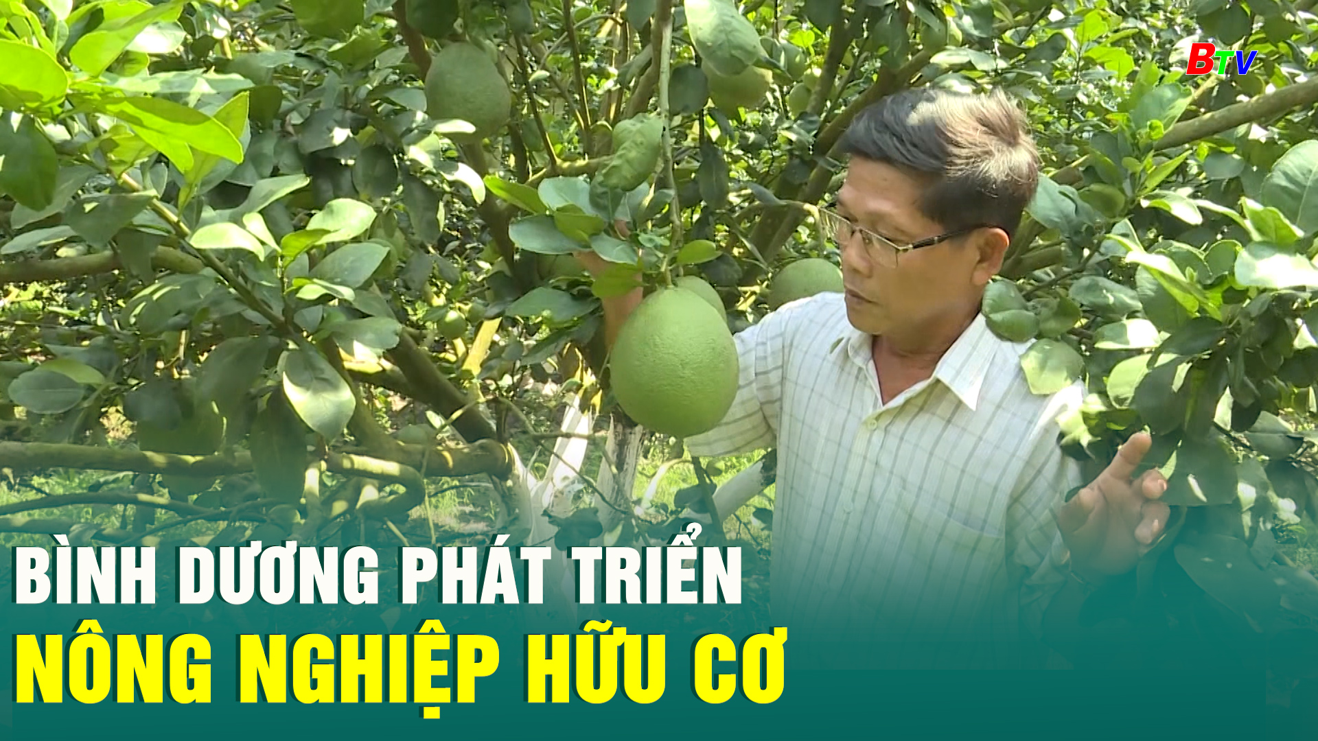 Bình Dương phát triển nông nghiệp hữu cơ