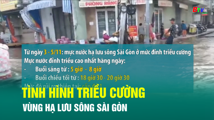 Tình hình triều cường vùng hạ lưu sông Sài Gòn