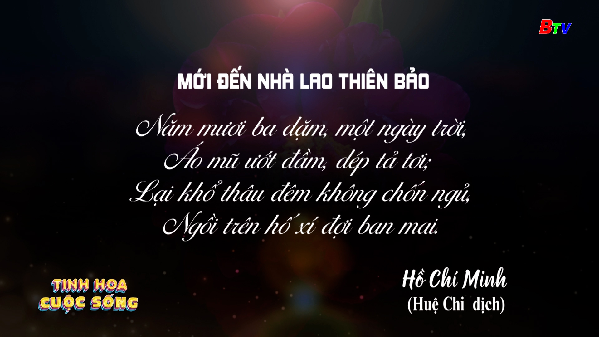 Tinh hoa cuộc sống - số 528