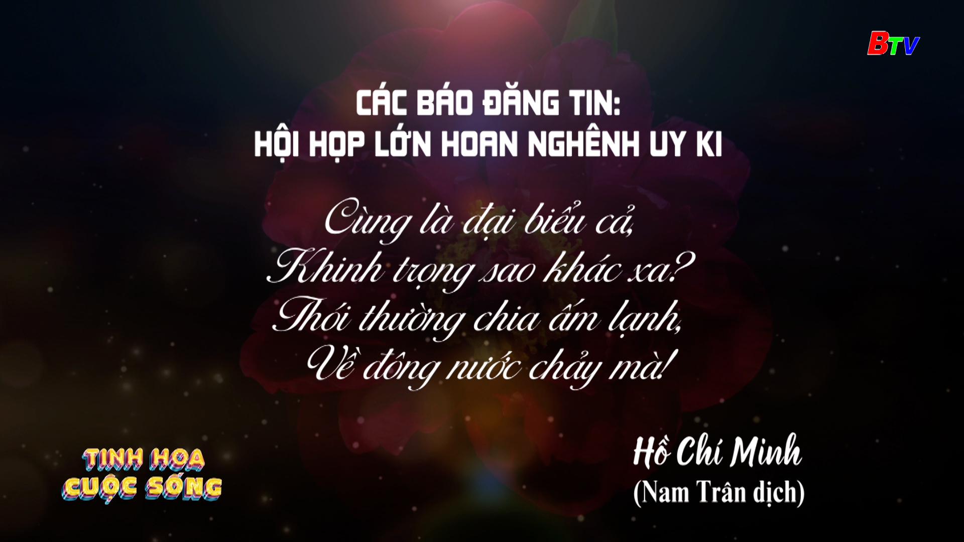 Tinh hoa cuộc sống - số 531