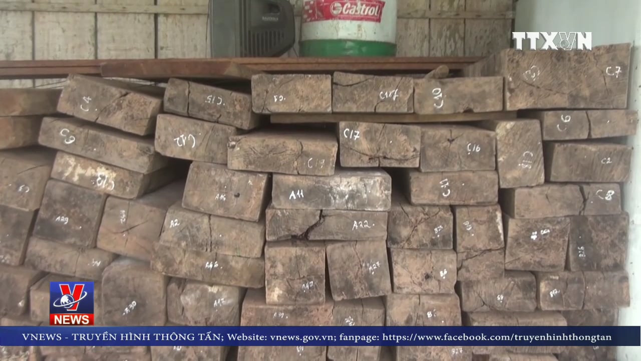 Quảng Bình phát hiện nhiều gỗ lậu tại nhà dân