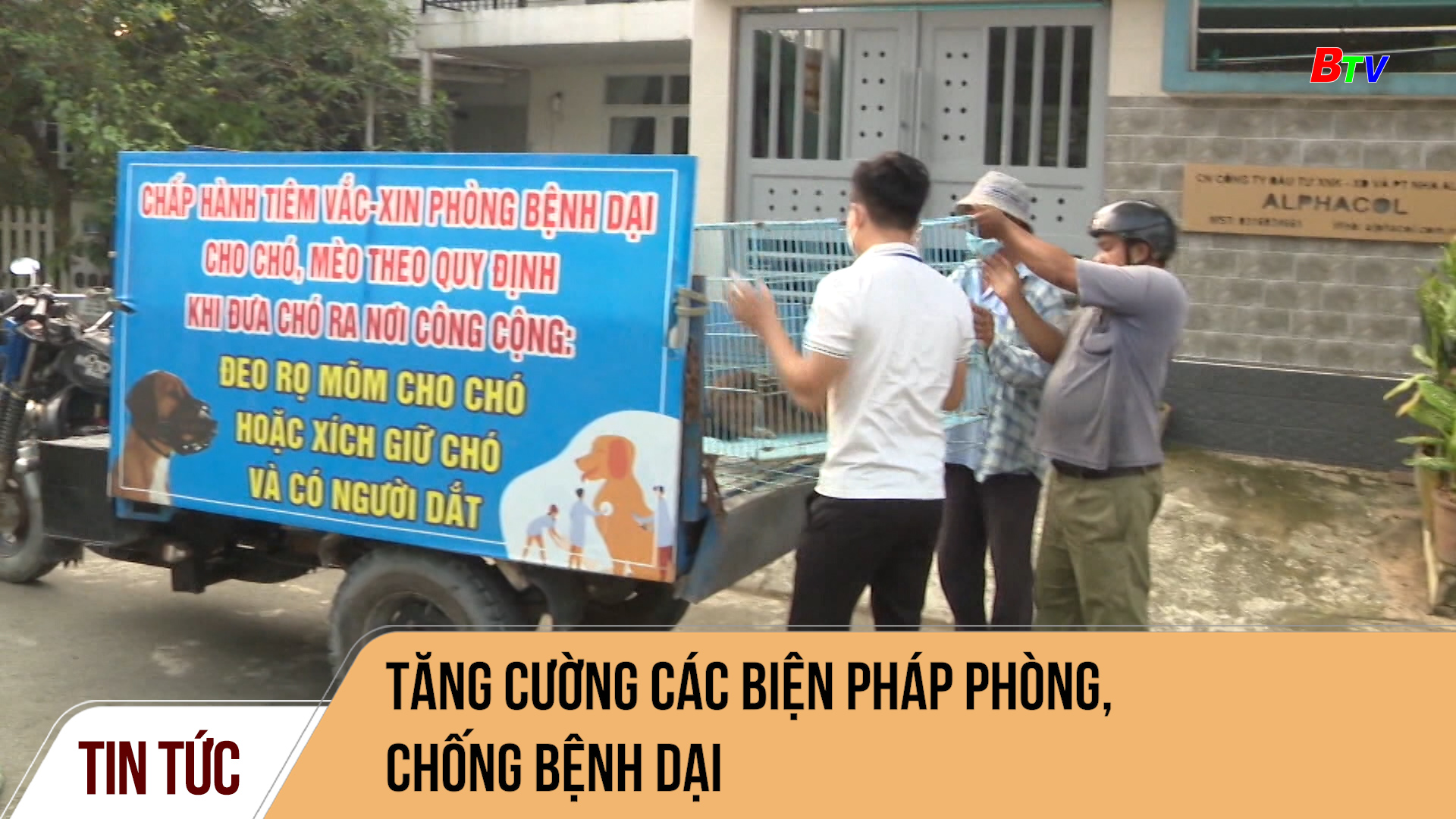 Tăng cường các biện pháp phòng, chống bệnh dại