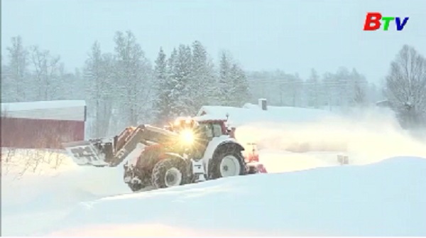 Lở tuyết ở miền Bắc Na Uy, bốn du khách mất tích