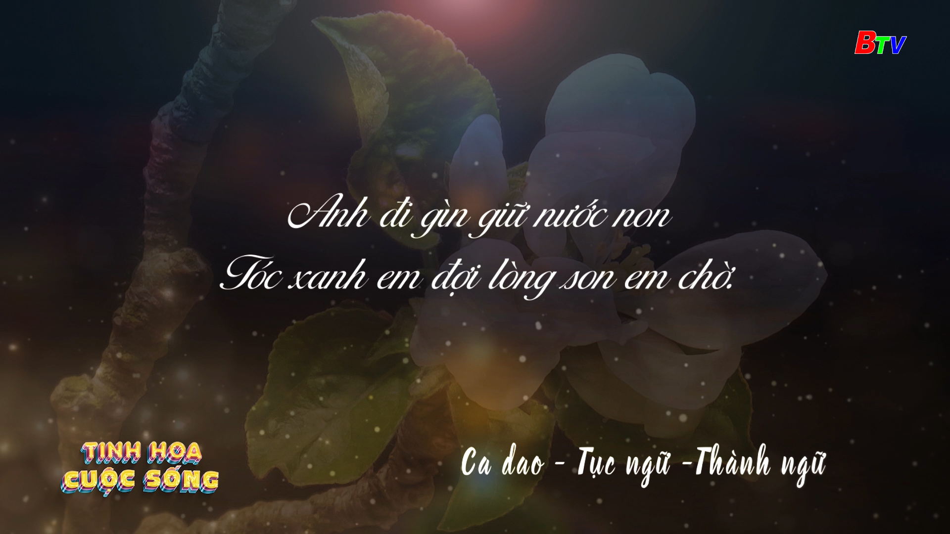 Tinh hoa cuộc sống - số 172