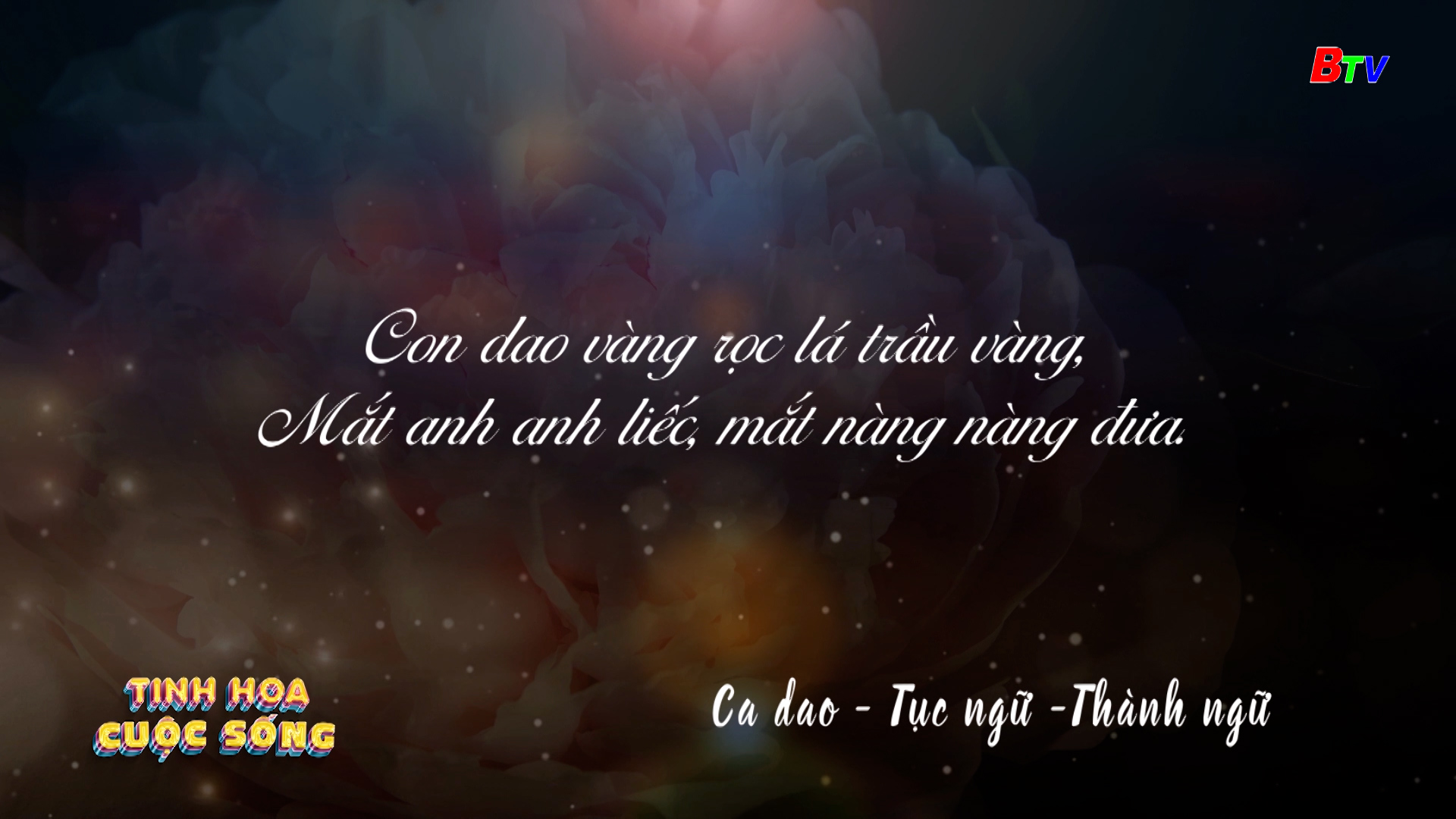 Tinh hoa cuộc sống | Ngày 02/02/2025(2)